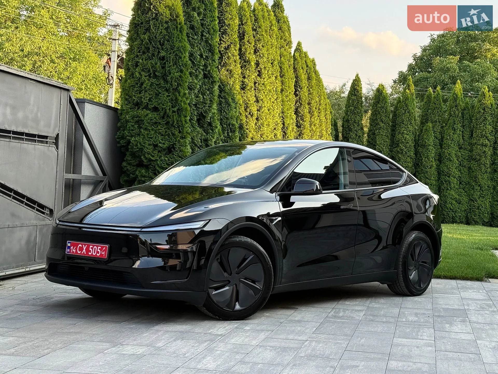 2025 Tesla Model Y - мініатюра 3