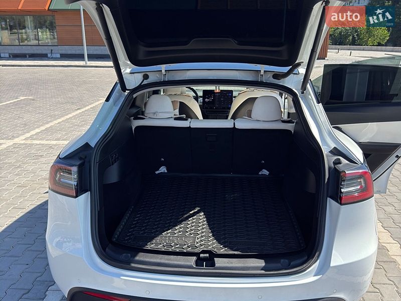 Внедорожник / Кроссовер Tesla Model Y 2021 в Кривом Роге