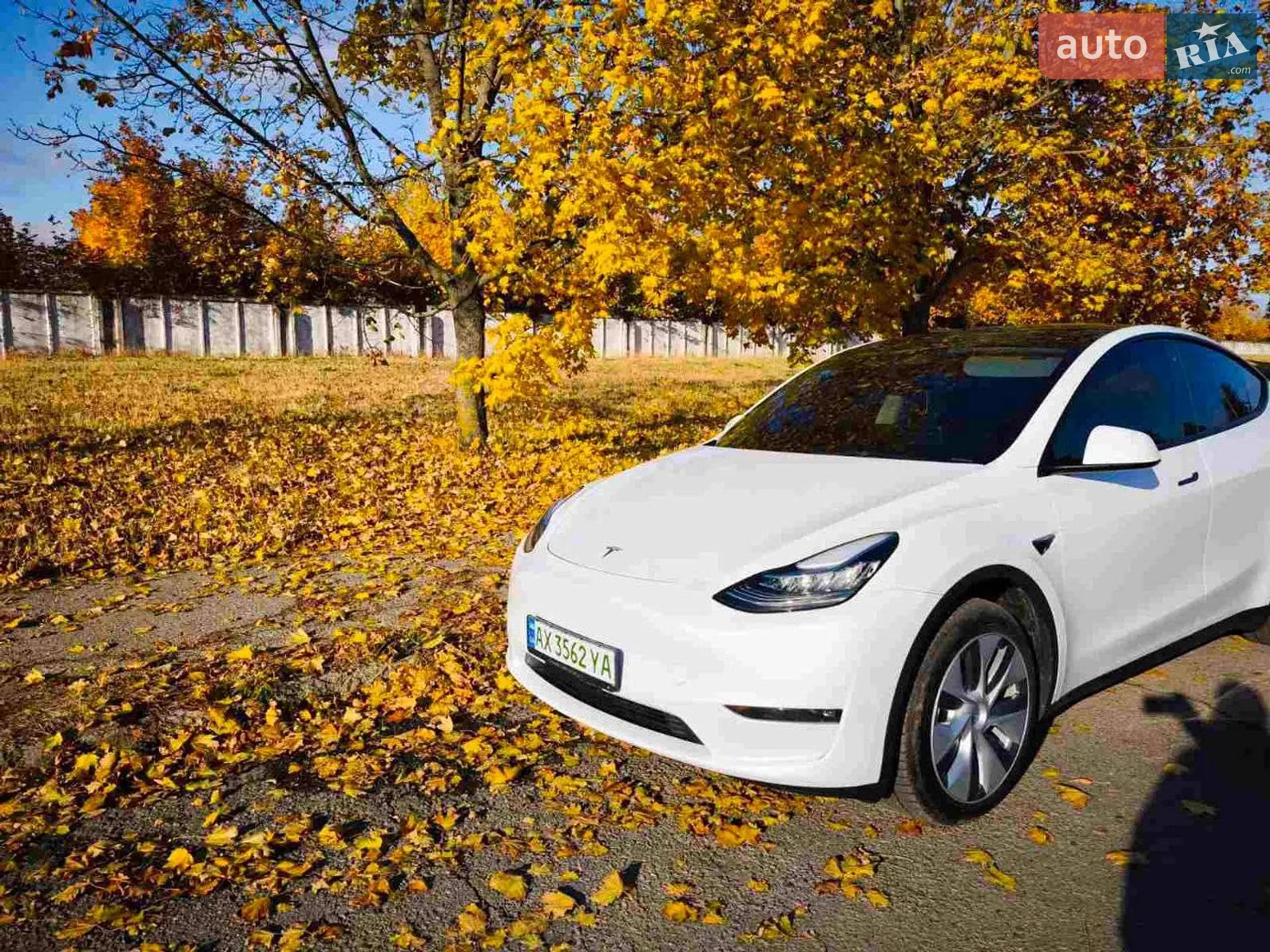 2023 Tesla Model Y - мініатюра 3