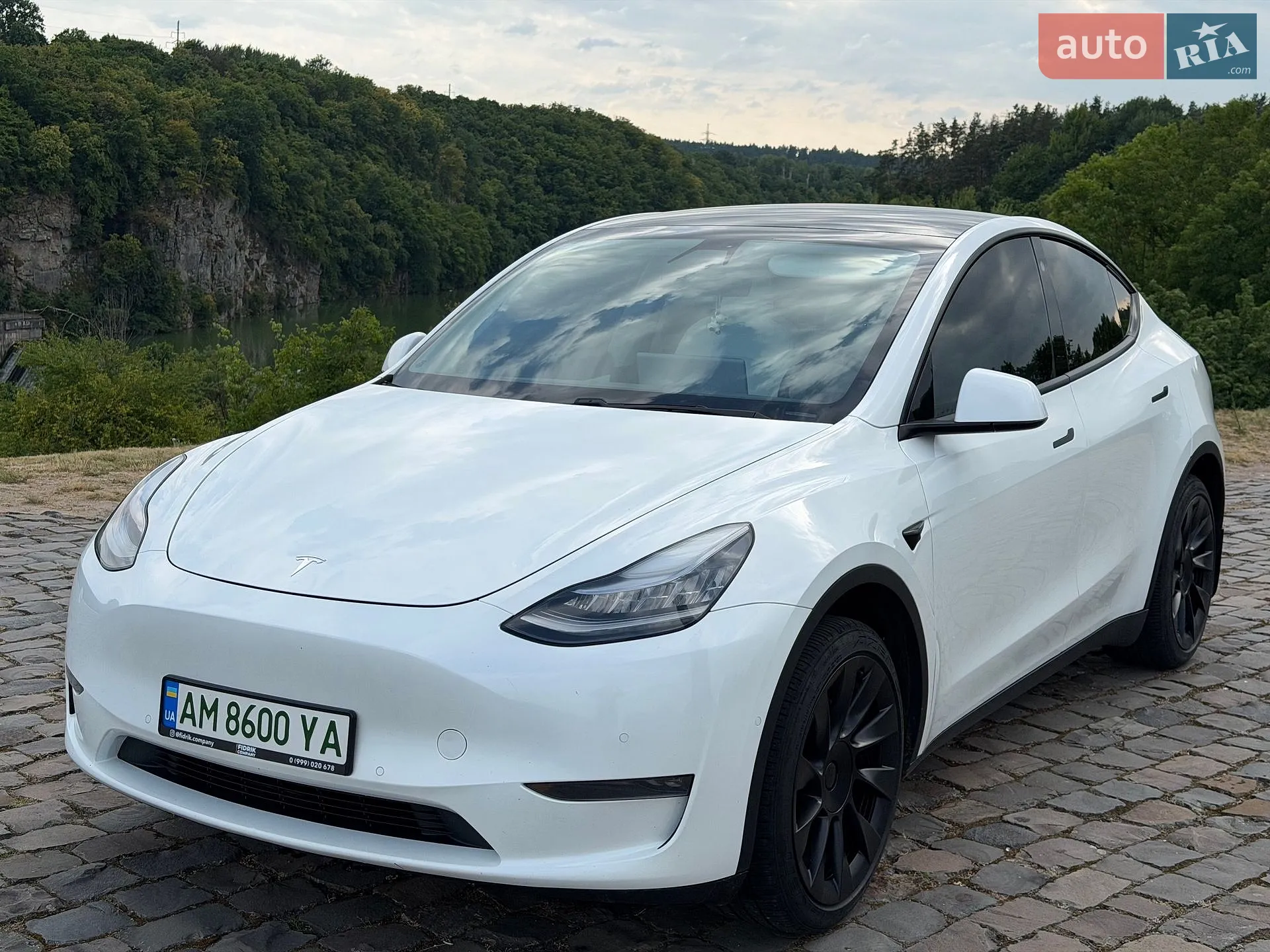 2020 Tesla Model Y - мініатюра 4