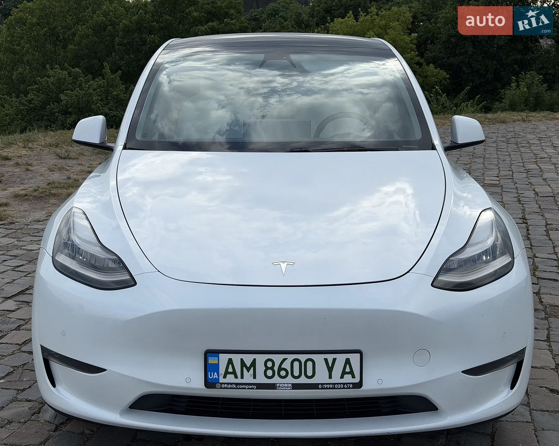 2020 Tesla Model Y - мініатюра 5