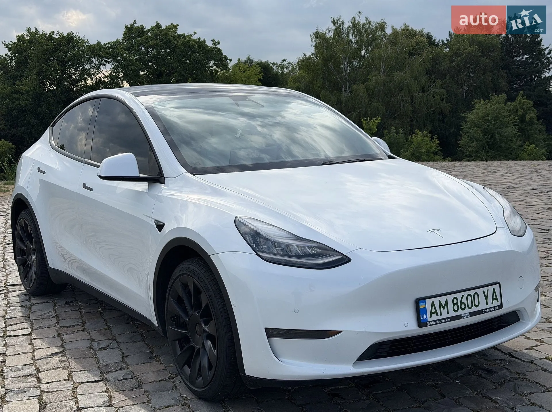 2020 Tesla Model Y - мініатюра 10