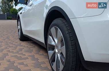 Позашляховик / Кросовер Tesla Model Y 2023 в Києві