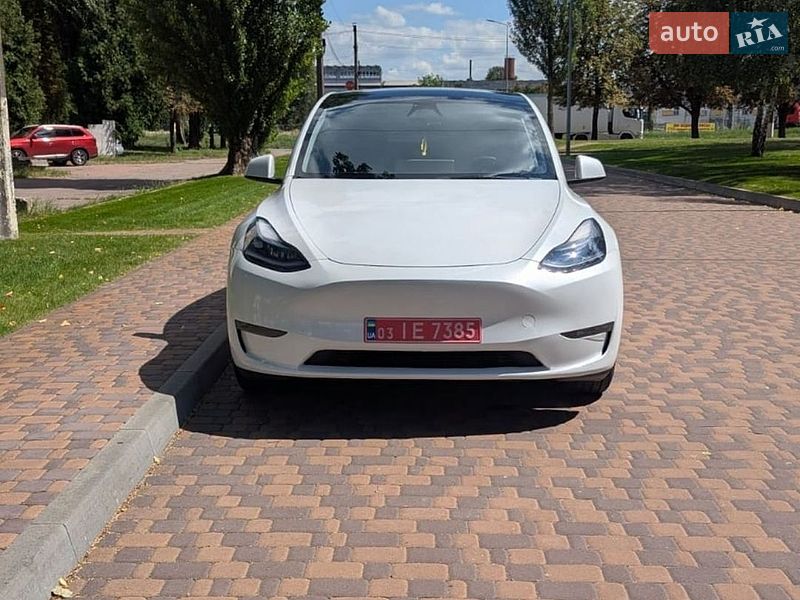 Позашляховик / Кросовер Tesla Model Y 2023 в Києві