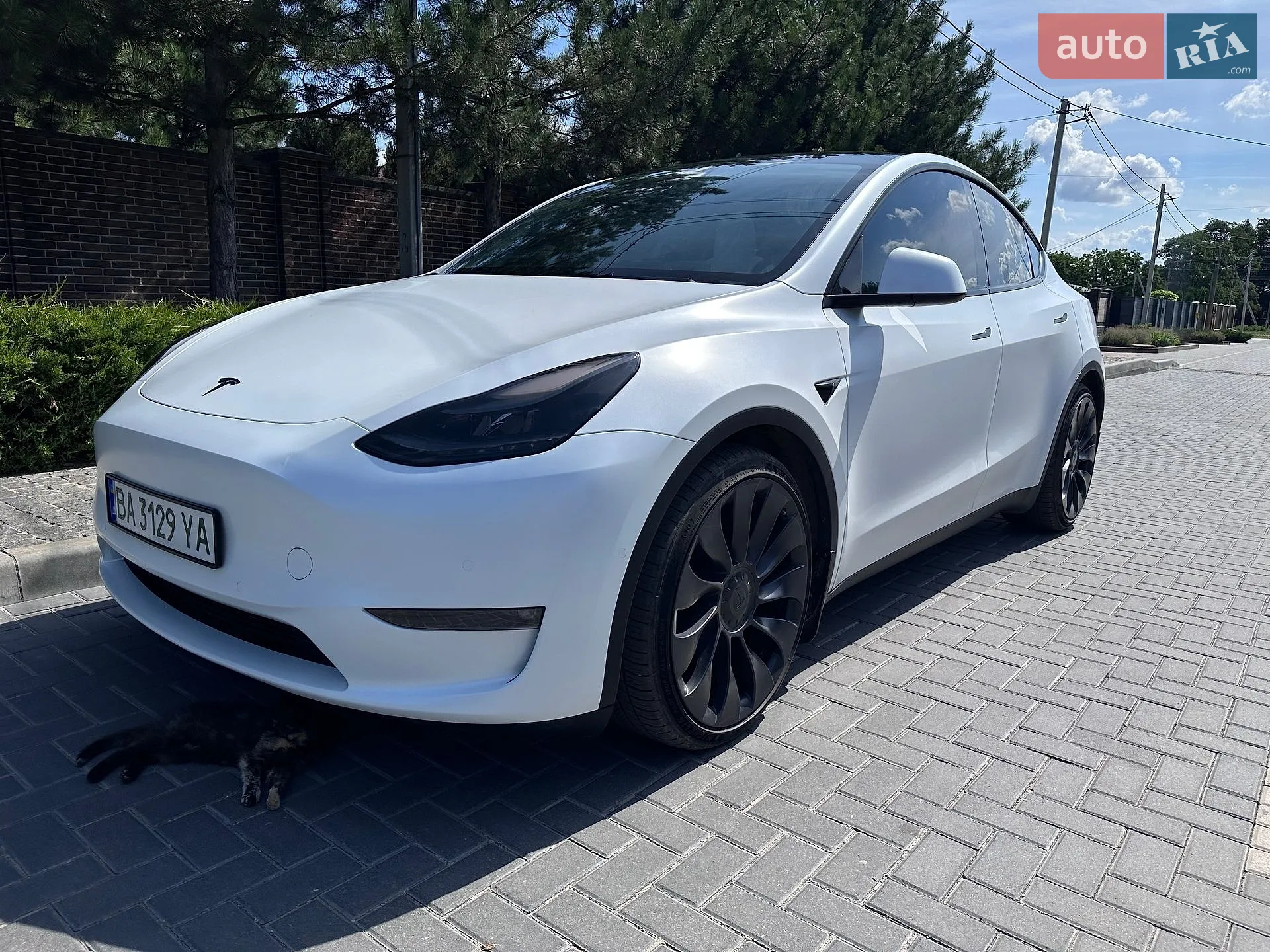 2021 Tesla Model Y - фото 1