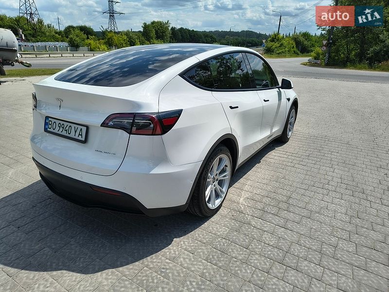 Позашляховик / Кросовер Tesla Model Y 2021 в Тернополі