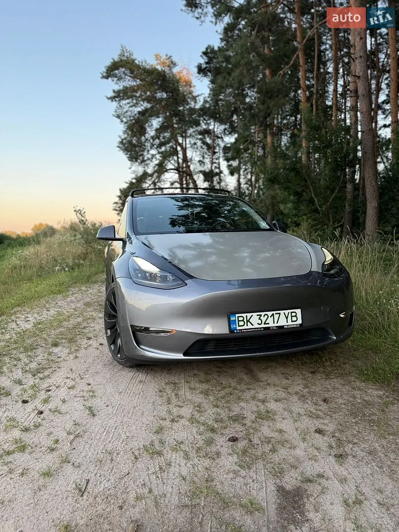 2023 Tesla Model Y - мініатюра 10