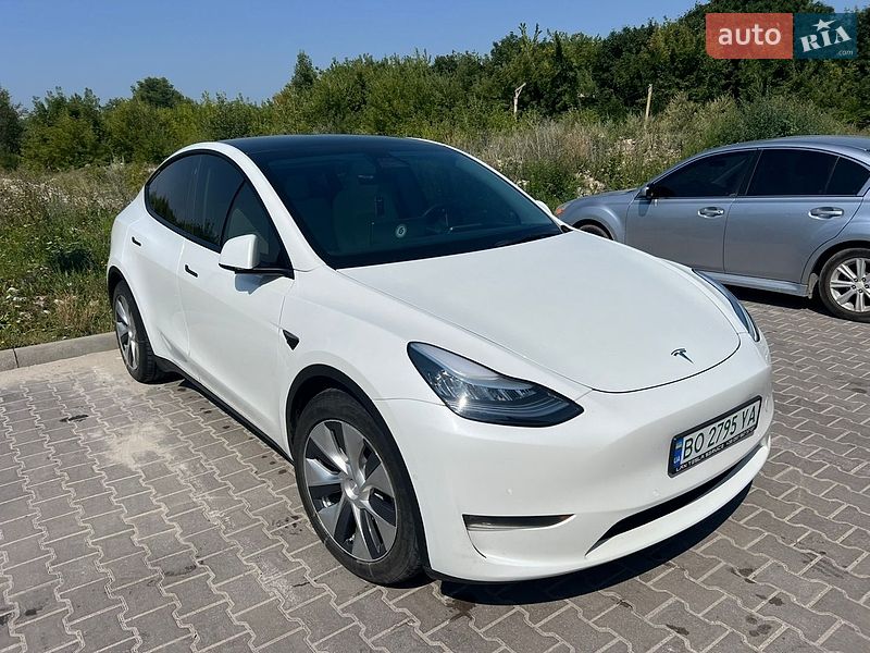 Внедорожник / Кроссовер Tesla Model Y 2021 в Тернополе