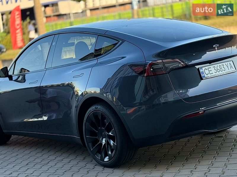 Позашляховик / Кросовер Tesla Model Y 2023 в Чернівцях