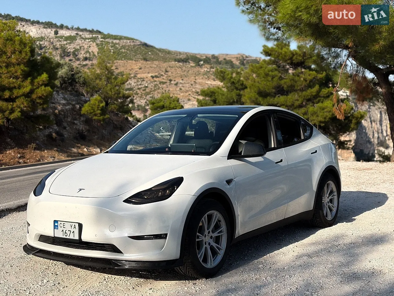 2021 Tesla Model Y - мініатюра 50