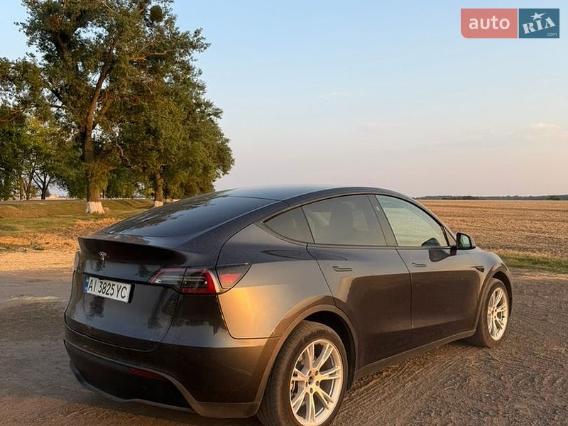 Позашляховик / Кросовер Tesla Model Y 2024 в Києві