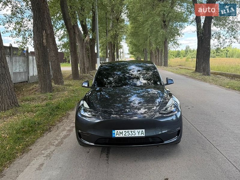 Внедорожник / Кроссовер Tesla Model Y 2024 в Киеве