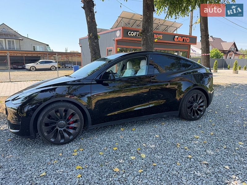 Позашляховик / Кросовер Tesla Model Y 2022 в Чернівцях фото 10 Позашляховик / Кросовер Tesla Model Y 2022 в Чернівцях