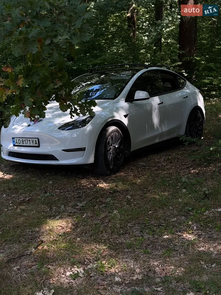 2023 Tesla Model Y - мініатюра 20