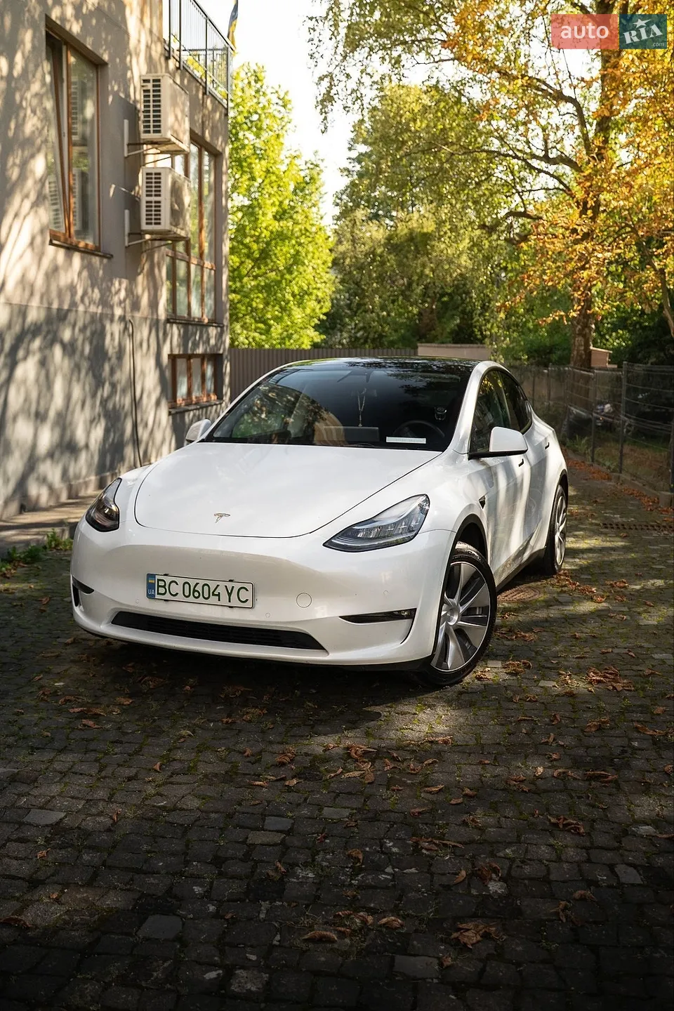 2022 Tesla Model Y - мініатюра 6