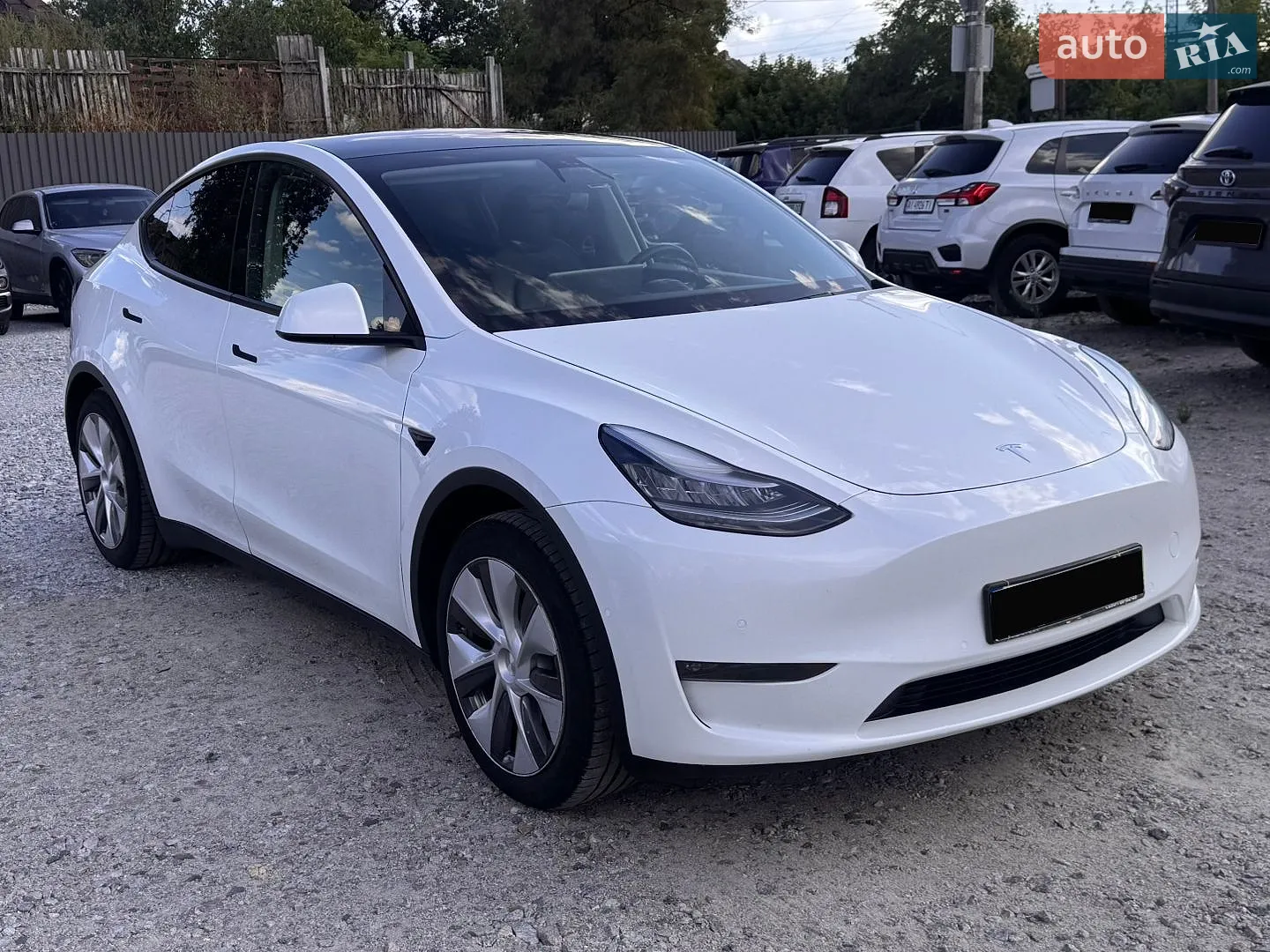 2020 Tesla Model Y - фото 1