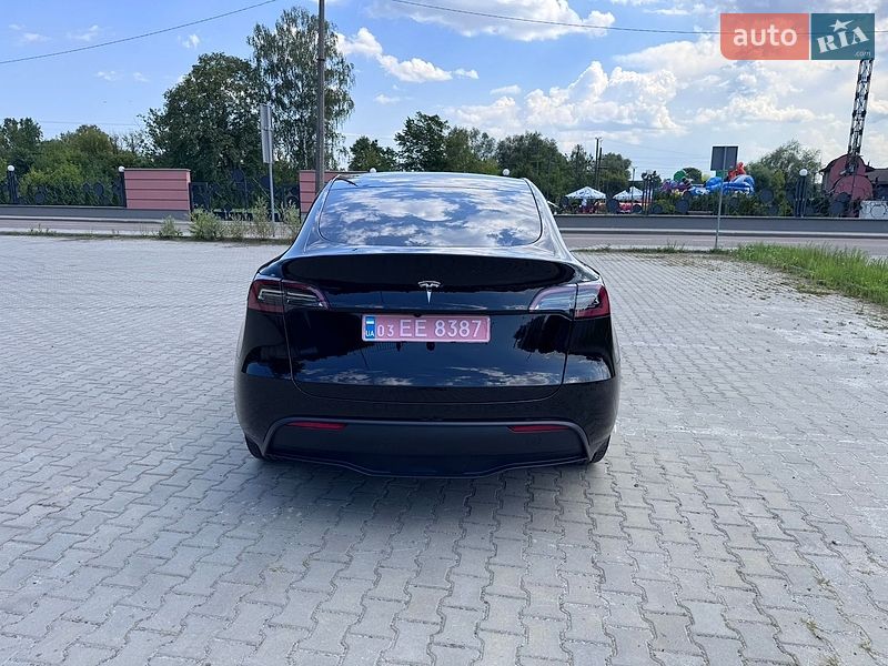 Внедорожник / Кроссовер Tesla Model Y 2024 в Дрогобыче