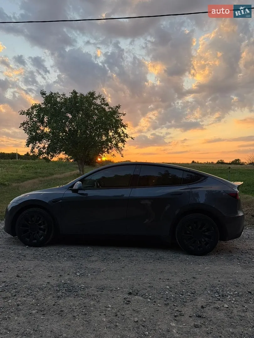 2020 Tesla Model Y - мініатюра 6