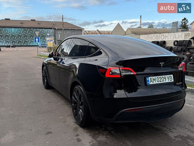 Внедорожник / Кроссовер Tesla Model Y 2024 в Житомире