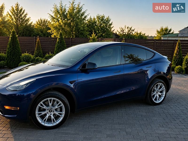 Позашляховик / Кросовер Tesla Model Y 2023 в Києві
