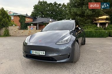 Позашляховик / Кросовер Tesla Model Y 2022 в Тернополі
