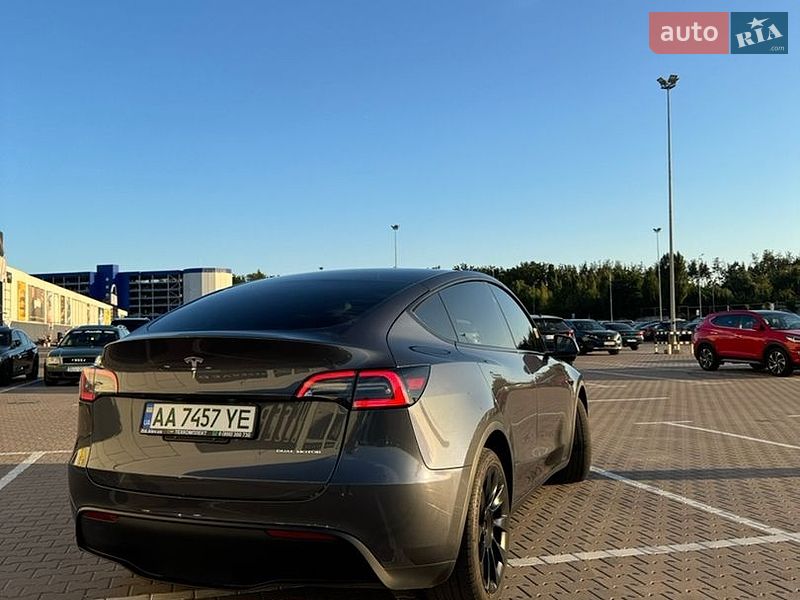 Позашляховик / Кросовер Tesla Model Y 2023 в Києві