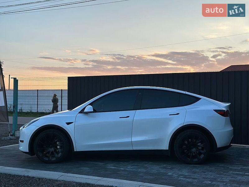 Позашляховик / Кросовер Tesla Model Y 2023 в Луцьку
