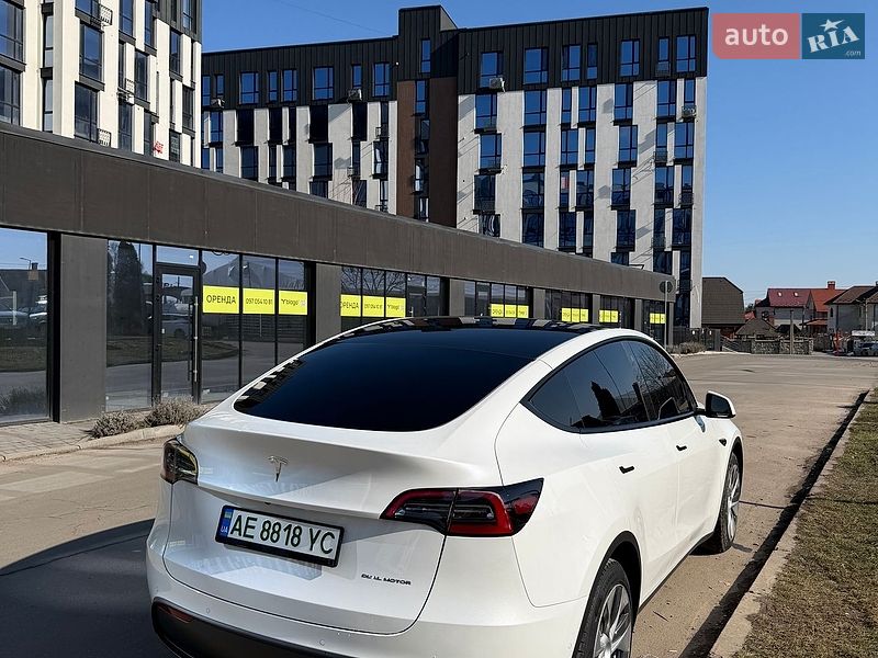 Позашляховик / Кросовер Tesla Model Y 2021 в Івано-Франківську