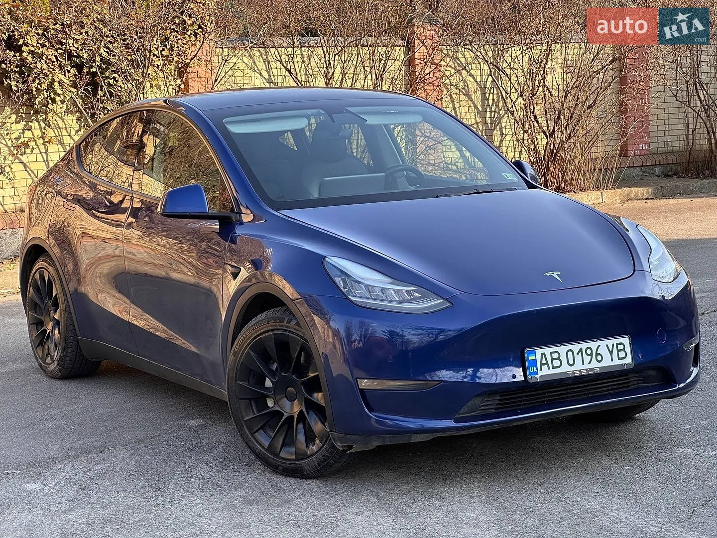 2021 Tesla Model Y - фото 1