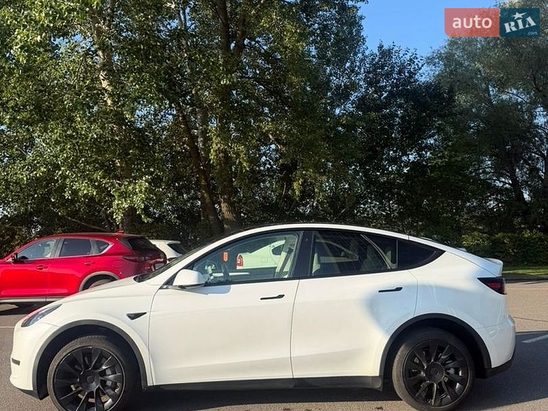 Позашляховик / Кросовер Tesla Model Y 2023 в Києві
