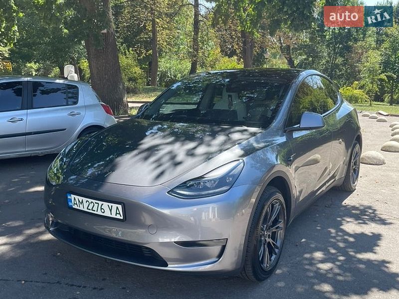 Внедорожник / Кроссовер Tesla Model Y 2024 в Житомире