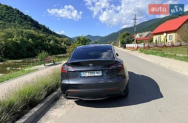 Позашляховик / Кросовер Tesla Model Y 2024 в Львові фото 8 Позашляховик / Кросовер Tesla Model Y 2024 в Львові