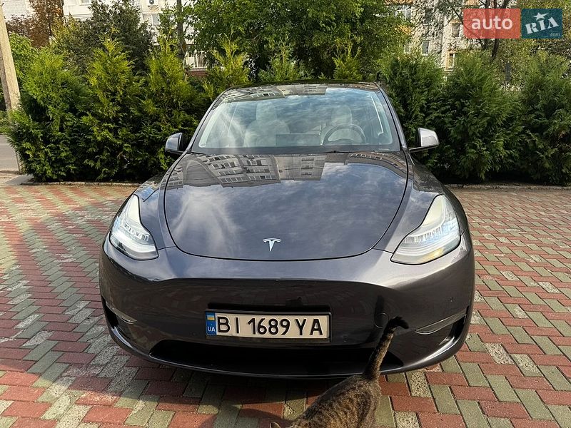 Внедорожник / Кроссовер Tesla Model Y 2021 в Кременчуге