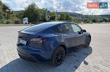 Внедорожник / Кроссовер Tesla Model Y 2023 в Золочеве