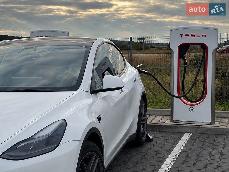 Позашляховик / Кросовер Tesla Model Y 2021 в Вінниці