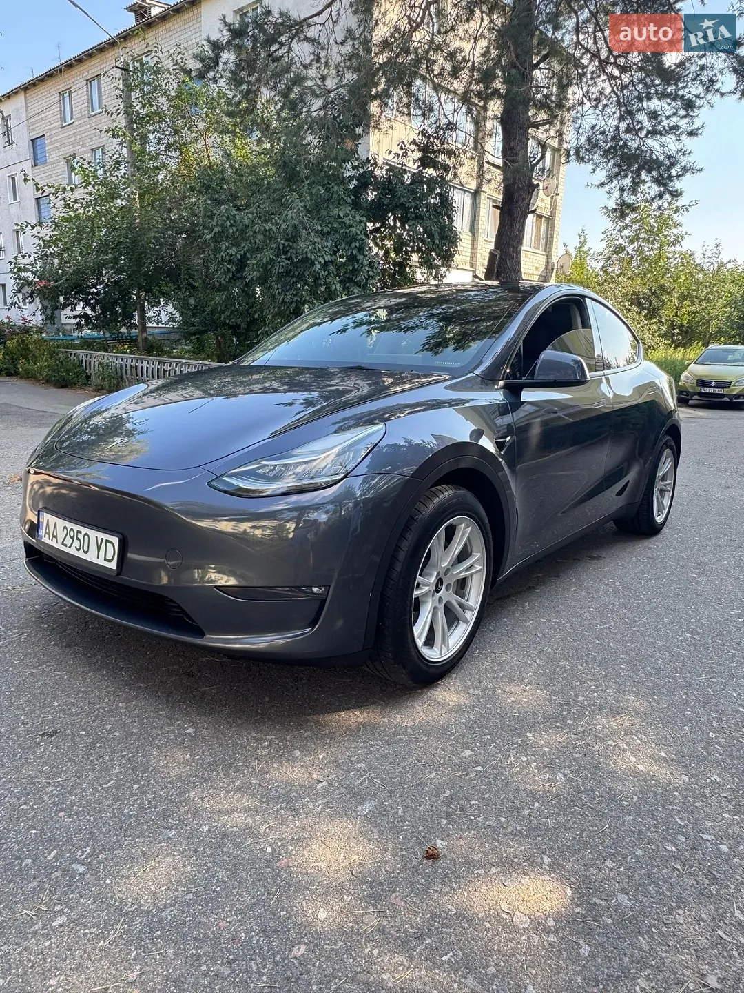 2023 Tesla Model Y - фото 1