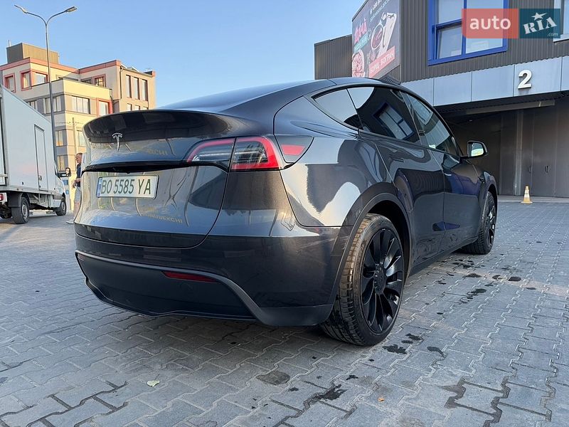 Внедорожник / Кроссовер Tesla Model Y 2024 в Тернополе