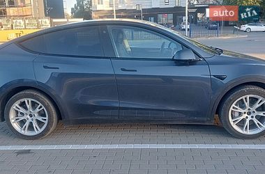 Позашляховик / Кросовер Tesla Model Y 2023 в Тернополі