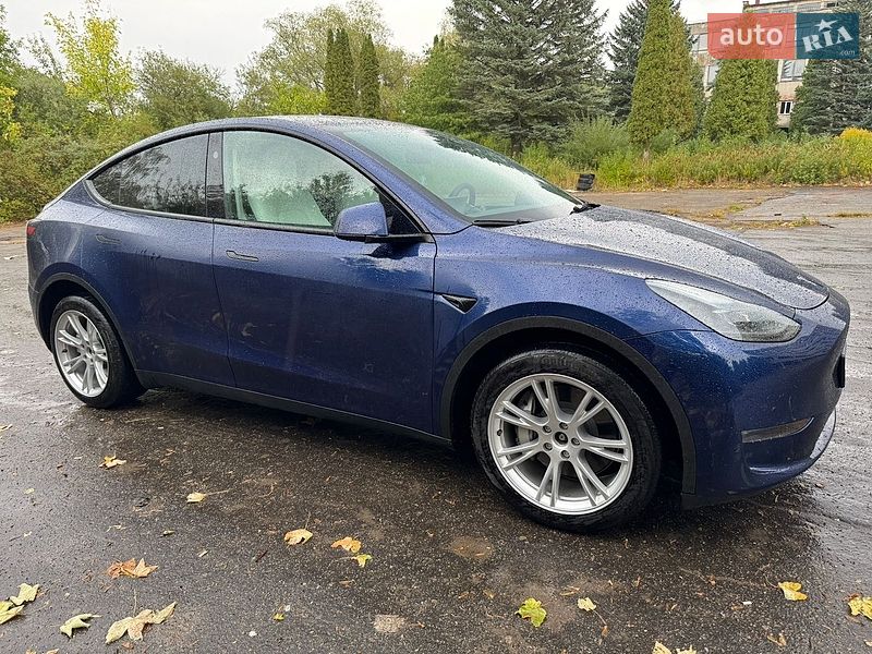 Внедорожник / Кроссовер Tesla Model Y 2023 в Новом Роздоле