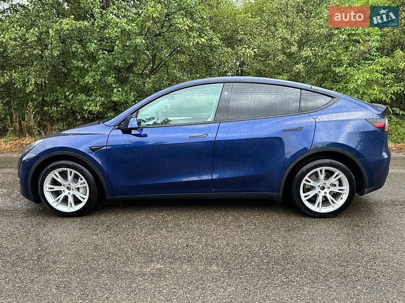Внедорожник / Кроссовер Tesla Model Y 2023 в Новом Роздоле