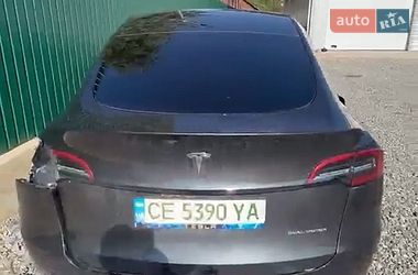 Внедорожник / Кроссовер Tesla Model Y 2024 в Черновцах