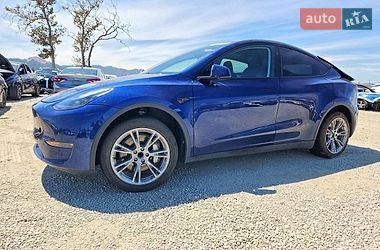 Позашляховик / Кросовер Tesla Model Y 2023 в Києві