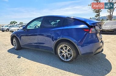 Позашляховик / Кросовер Tesla Model Y 2023 в Києві