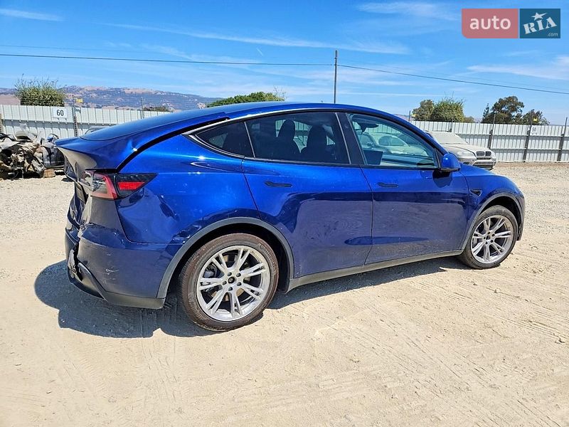 Позашляховик / Кросовер Tesla Model Y 2023 в Києві