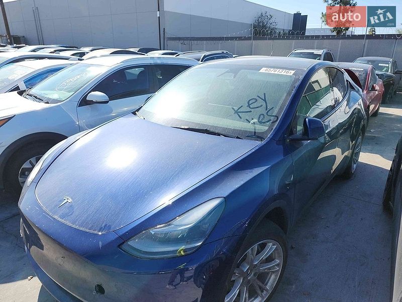 Позашляховик / Кросовер Tesla Model Y 2023 в Києві