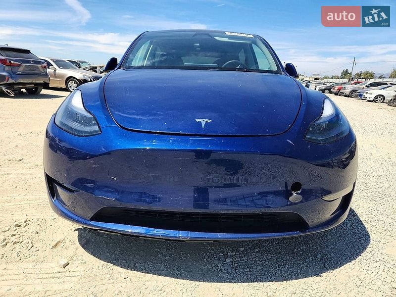 Позашляховик / Кросовер Tesla Model Y 2023 в Києві
