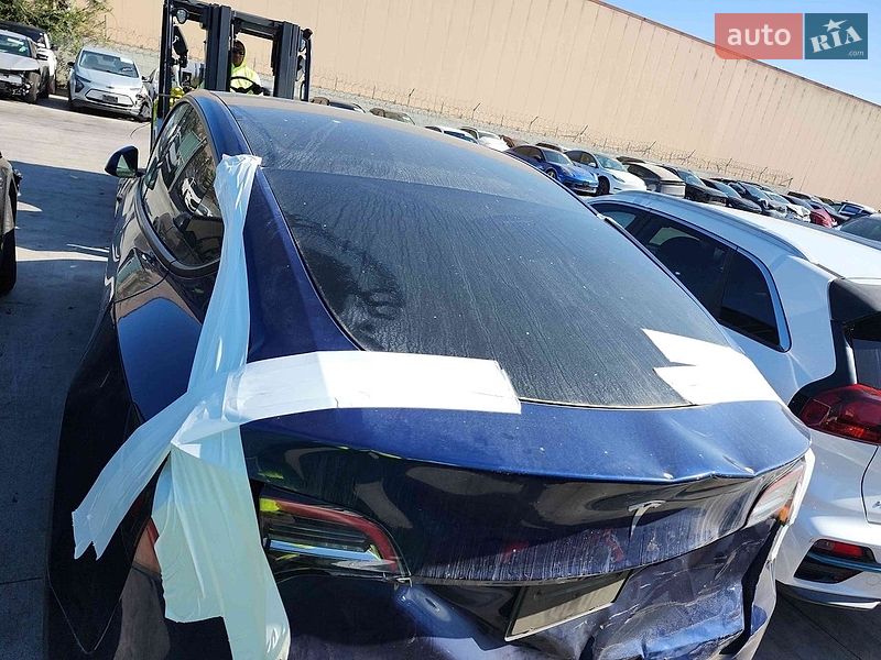 Позашляховик / Кросовер Tesla Model Y 2023 в Києві
