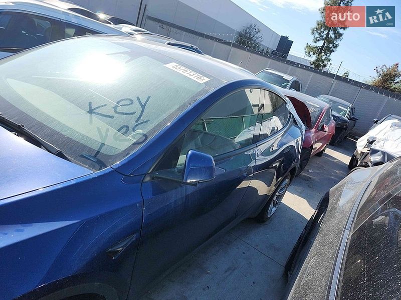 Позашляховик / Кросовер Tesla Model Y 2023 в Києві