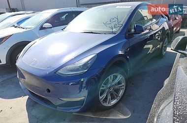 Позашляховик / Кросовер Tesla Model Y 2023 в Києві