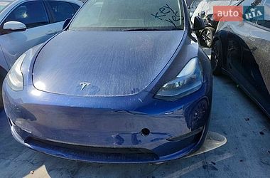 Позашляховик / Кросовер Tesla Model Y 2023 в Києві